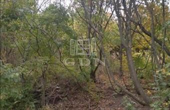 Eladó Pomázi termőföld, szántó hirdetés (48474928)