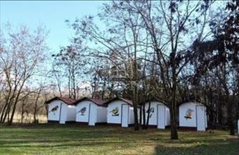 Eladó Fülöpszállási tanya hirdetés (33825969)