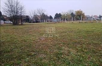 Eladó Tököli lakóövezeti telek hirdetés (97444443)