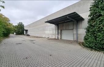 Kiadó Székesfehérvári raktár hirdetés (43959749)