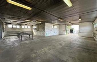 Kiadó Váci raktár hirdetés (36654342)