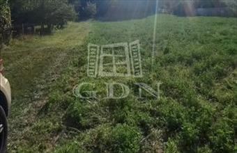 Eladó Tatai üdülőövezeti telek hirdetés (49243243)