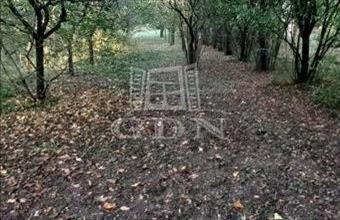 Eladó Tatai üdülőövezeti telek hirdetés (47649394)