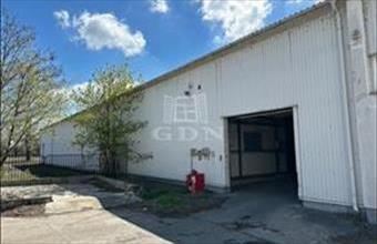 Kiadó Váci raktár hirdetés (24744483)