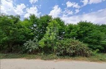 Eladó Isaszegi lakóövezeti telek hirdetés (34448952)