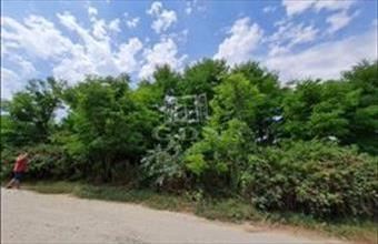 Eladó Isaszegi lakóövezeti telek hirdetés (48743258)