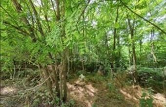 Eladó Isaszegi lakóövezeti telek hirdetés (22739883)