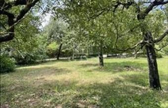 Eladó Budakeszi lakóövezeti telek hirdetés (18333981)