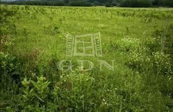 Eladó Őrbottyáni lakóövezeti telek hirdetés (63223278)