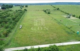 Eladó Törökbálinti termőföld, szántó hirdetés (49615963)