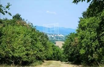 Eladó Váci termőföld, szántó hirdetés (33735445)