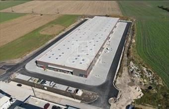 Kiadó Székesfehérvári raktár hirdetés (98798377)