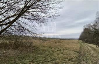 Eladó Veresegyházi termőföld, szántó hirdetés (23767659)