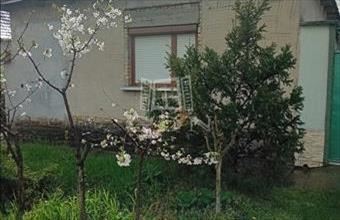 Eladó Érsekcsanádi családi ház hirdetés (32878936)