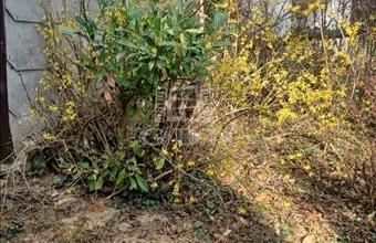 Eladó Zalaegerszegi hétvégi ház hirdetés (99231796)