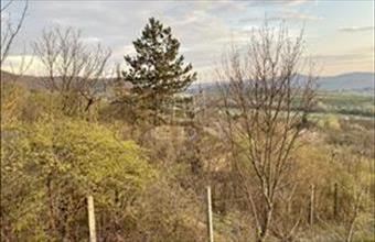 Eladó Budapest II. kerületi lakóövezeti telek hirdetés (26347331)