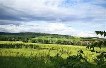 Eladó Őrbottyáni lakóövezeti telek hirdetés (29692379)