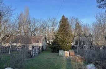 Eladó Ruzsai tanya hirdetés (47932269)