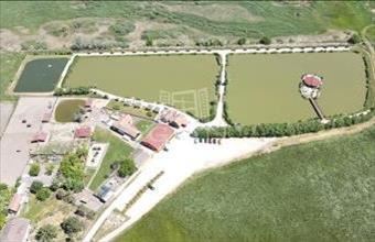 Eladó Székesfehérvári étterem, vendéglő hirdetés (37579273)