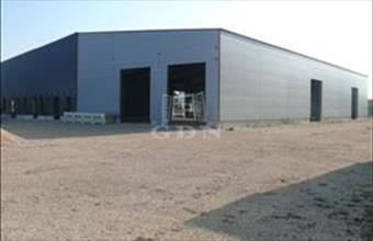 Eladó Kecskeméti raktár hirdetés (27339433)