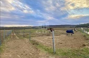 Eladó Mogyoródi termőföld, szántó hirdetés (73684948)