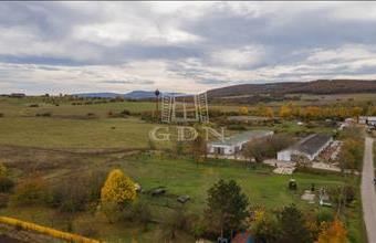 Eladó Szokolyai termőföld, szántó hirdetés (37783415)