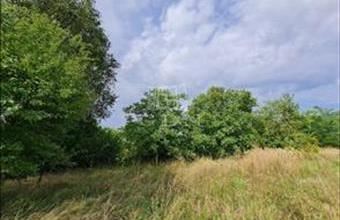 Eladó Maglódi lakóövezeti telek hirdetés (83939352)