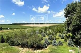 Eladó Rigyáci lakóövezeti telek hirdetés (24428726)