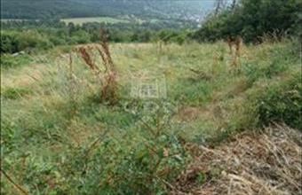 Eladó Verőcei lakóövezeti telek hirdetés (57948515)