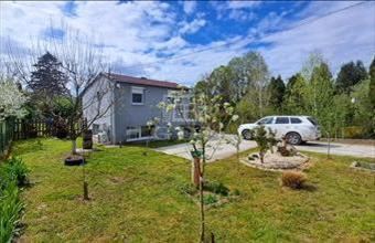 Eladó Ráckevei hétvégi ház hirdetés (83678847)