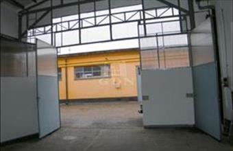 Kiadó Solymári raktár hirdetés (57938276)