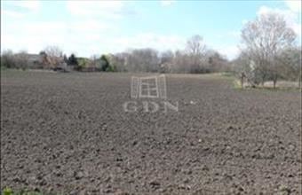 Eladó Kecskeméti lakóövezeti telek hirdetés (59342154)