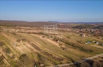 Eladó Kosdi üdülőövezeti telek hirdetés (59383973)