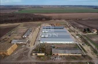 Eladó Perkátai termőföld, szántó hirdetés (38636776)