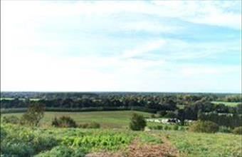 Eladó Alsóújlaki lakóövezeti telek hirdetés (34833793)