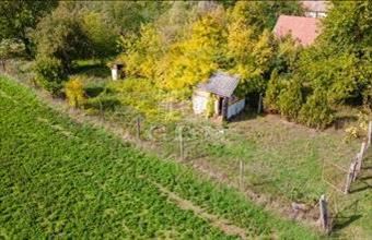 Eladó Jászberényi üdülőövezeti telek hirdetés (25449523)