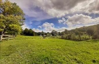 Eladó Budapest II. kerületi egyéb fejlesztési terület hirdetés (73647258)