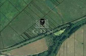 Eladó Pomázi termőföld, szántó hirdetés (21457943)