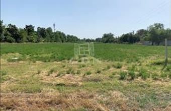 Eladó Gárdonyi lakóövezeti telek hirdetés (68896951)