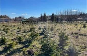 Eladó Baracskai lakóövezeti telek hirdetés (84742542)