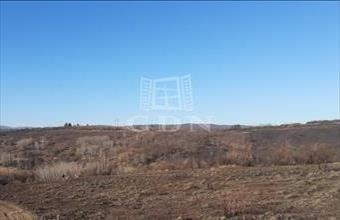 Eladó Miskolci termőföld, szántó hirdetés (56934356)