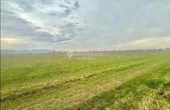 Eladó Pomázi fejlesztési lakóterület hirdetés (94356469)