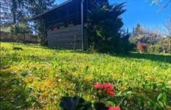 Eladó Bánki hétvégi ház hirdetés (16546981)