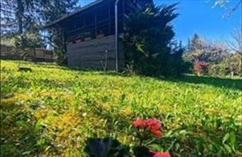 Eladó Bánki hétvégi ház hirdetés (16546981)