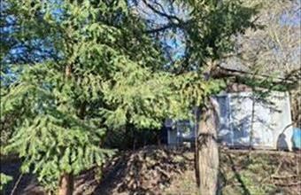 Eladó Budakeszi üdülőövezeti telek hirdetés (48732876)