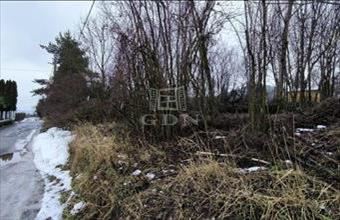 Eladó Dunabogdányi lakóövezeti telek hirdetés (77331744)