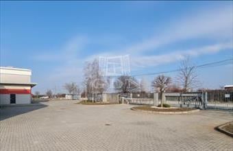 Eladó Székesfehérvári raktár hirdetés (97589842)