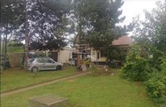 Eladó Kerepesi családi ház hirdetés (38749244)