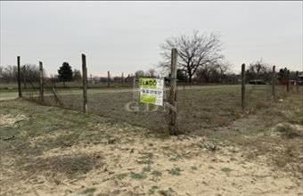 Eladó Dunaharaszti lakóövezeti telek hirdetés (44448673)