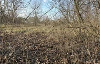 Eladó Tatai lakóövezeti telek hirdetés (98823834)